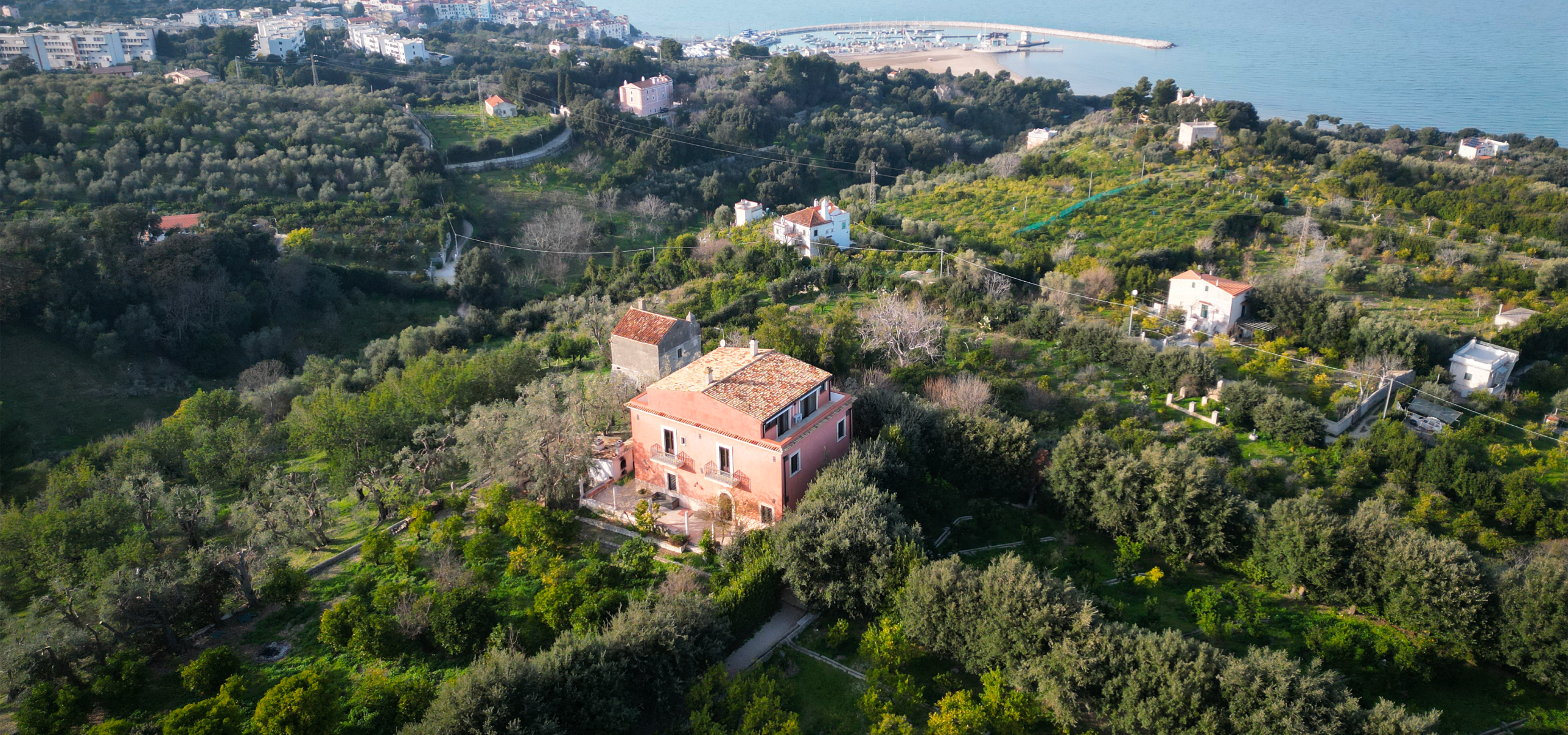 Progetto senza titolo (31)