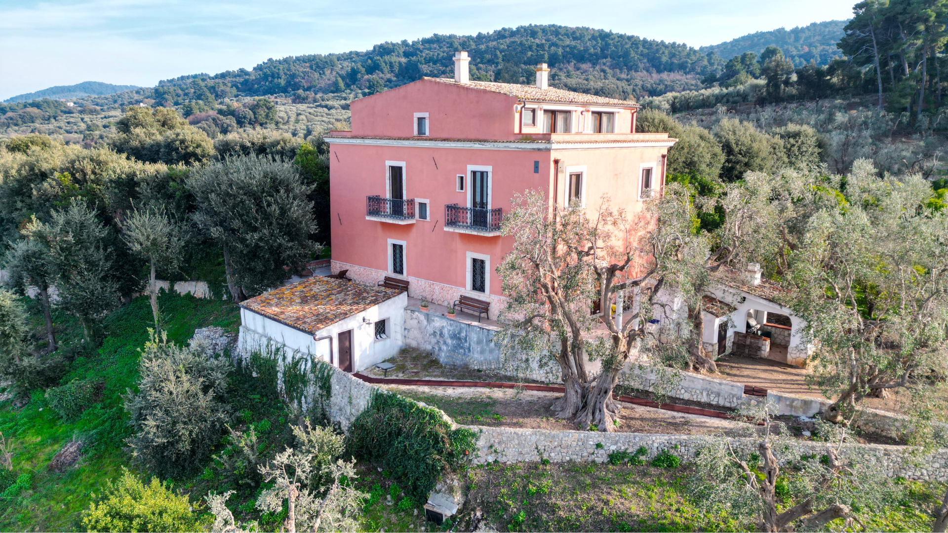 Panorama
