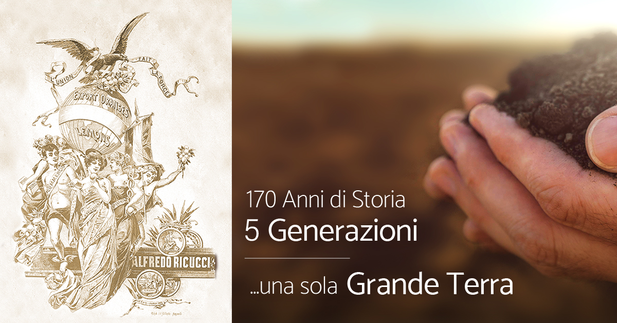 img-ricucci-social